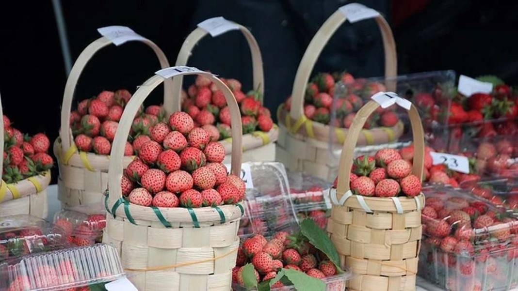 Bu yıl adeta topraktan fışkırıyor, kapış kapış satılıyor! Osmanlı sultanları bu meyve olmadan sofraya oturmazdı 20